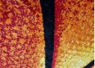 Тъкан килим MAGNOLIA 140 red/orange КРЪГ
